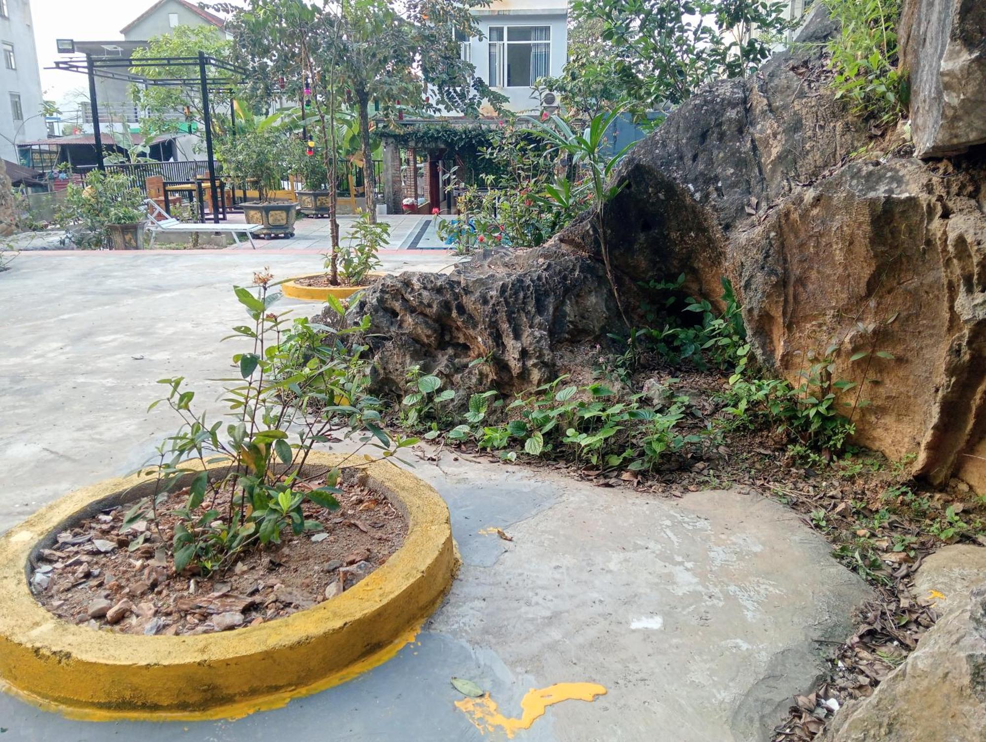 Song Toan Hotel Phong Nha Bagian luar foto